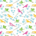 Botanicals Song Birds Wrapping Tissue (20"x30")